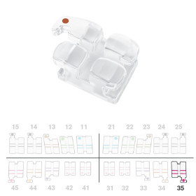Brackets DB Absolute MBT .022" LL5 c/g  5pz.