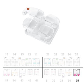 Brackets DB Absolute MBT .022" LL5  5pz.