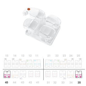 Brackets DB Absolute Roth .018" LW5  5pz.