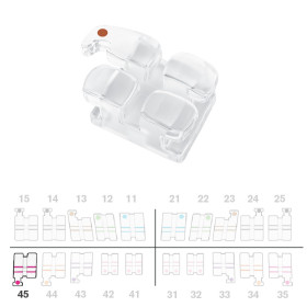 Brackets DB Absolute Roth .018" LR5 c/g  5pz.