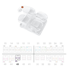Brackets DB Absolute Roth .022" LR3 c/g  5pz.