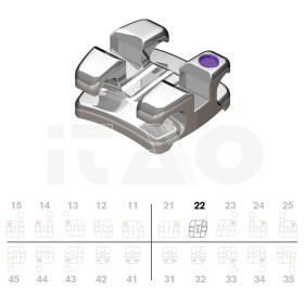 Brackets DB Focus (Agility...