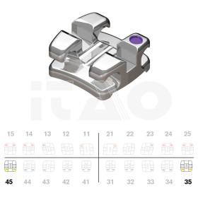 Brackets DB Focus MBT .022"...