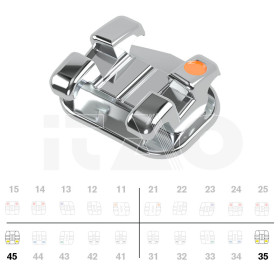 Brackets DB miniPrevail...