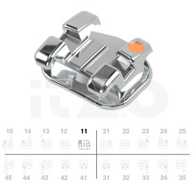 Brackets DB miniPrevail Roth .018" UR1 5pz.