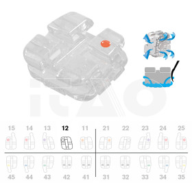 Brackets DB Agility Ceramic...