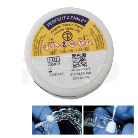 Perfect A Smile Pontic Paint resina foto Vita Shade Light...