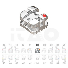 Brackets DB Agility SLB Roth .022" UL1 5pz.