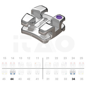 Brackets DB Focus Roth...
