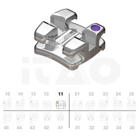 Brackets DB Focus (Agility Twin) Roth .018" UR1 5pz.