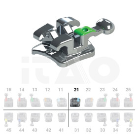 Brackets DB Max Roth .018" UL1 10 pz.