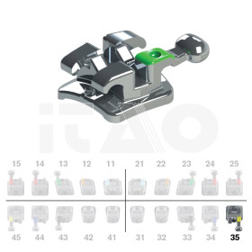 Brackets DB Max Roth .022"...