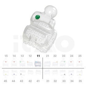 Brackets DB PolySafira Roth .022" UR1 2 pz.