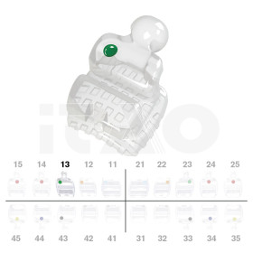 Brackets DB PolySafira Roth .022" UR3 con gancio 2 pz.