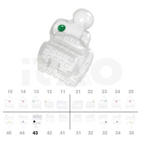 Brackets DB PolySafira Roth .022" LR3 con gancio 2 pz.