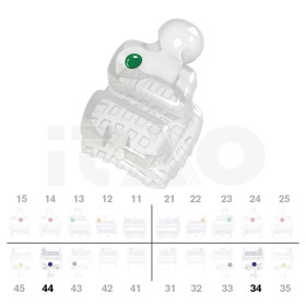 Brackets DB PolySafira Roth .022" L4 con gancio 2 pz.