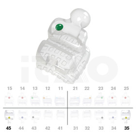 Brackets DB PolySafira Roth .022" L5 con gancio 2 pz.