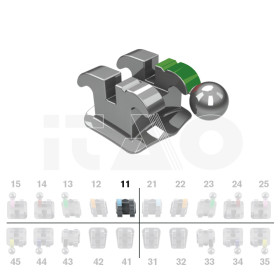 Brackets DB Ricketts Actual...