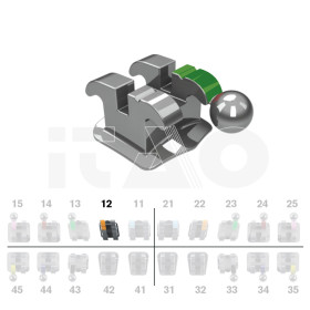 Brackets DB Ricketts Actual...