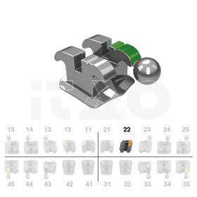 Brackets DB Ricketts Actual...