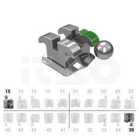 Brackets DB Ricketts Actual...