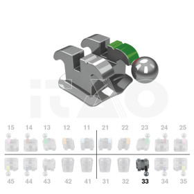 Brackets DB Ricketts Actual...
