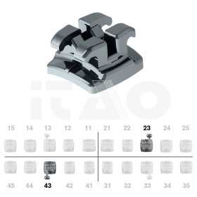 Brackets DB Edgewise Slim...