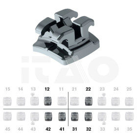 Brackets DB Edgewise Slim...