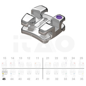 Brackets DB Focus (Agility...