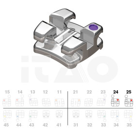 Brackets DB Focus (Agility...