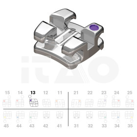 Brackets DB Focus (Agility Twin) MBT .022" UR3 con gancio...