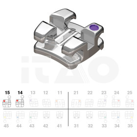 Brackets DB Focus (Agility...
