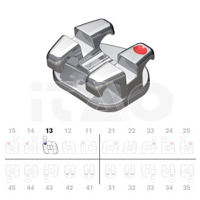 Brackets DB Magnum Ricketts .018" UR3 con gancio 5pz.