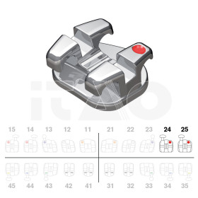 Brackets DB Magnum Ricketts .018" UL4/5 con gancio 5pz.
