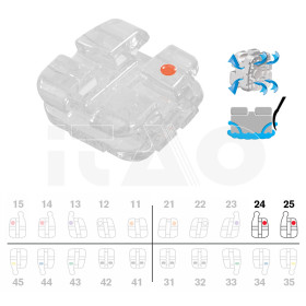 Brackets DB Agility Ceramic Roth .022" UL45 con gancio 5pz.