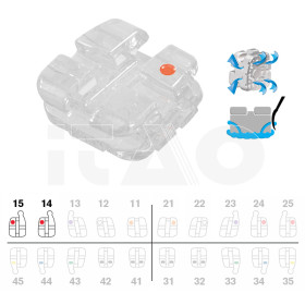 Brackets DB Agility Ceramic Roth .018" UR45 con gancio 5pz.
