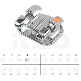 Brackets DB miniPrevail...