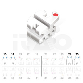 Brackets DB Prism MBT .022"...
