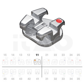 Brackets DB Magnum Ricketts...