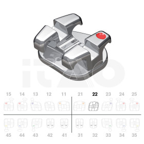 Brackets DB Magnum Ricketts...