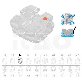 Brackets DB Vapor MBT .022" UR3 0°T c/g 5pz.